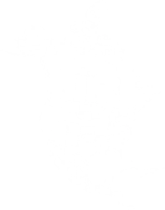 Excellent Sign Group project footprint across North America